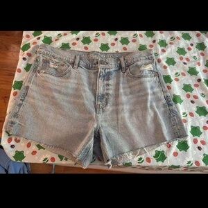 American Eagle Outfitters Blue Jean Shorts Light Wash Distressed